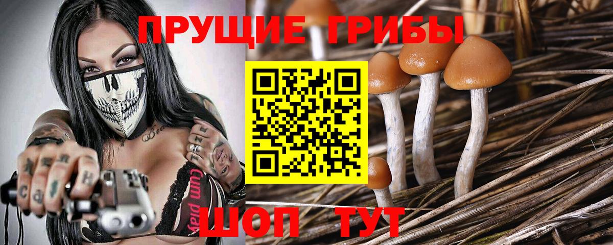 Галлюциногенные грибы Magic Shrooms  Вход с VPN  Псилоцибиновые грибы Psilocybine cubensis  Зеленокумск 