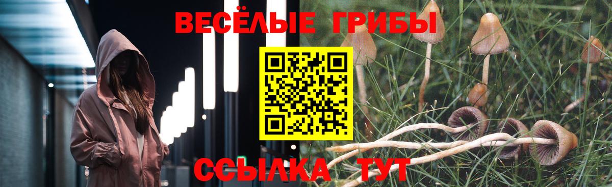 Псилоцибиновые грибы мицелий Зеленокумск